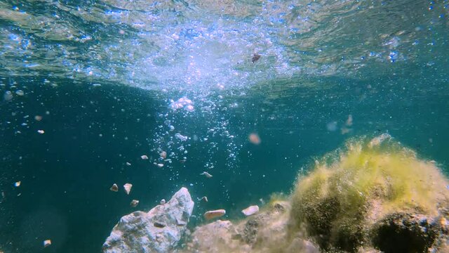 Slow motion underwater view of European chub fish swimming in pristine Alpine lake. Particles float in calm water. Transparent endless view. Rock covered with vegetation. Pebbles falling in water