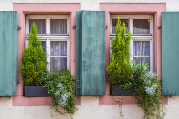 Fototapeta na wymiar Windows of an old house decorated with plants