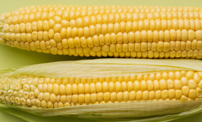 Close up fresh corn cobs at green background