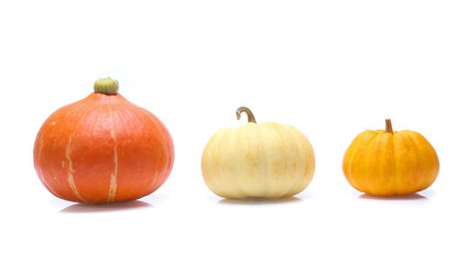 Pumpkin isolated on white background