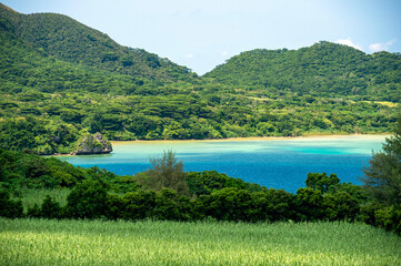 沖縄県　石垣島　川平湾　川平石崎海域公園
