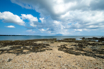 沖縄県　石垣島　宮良湾　大浜海岸