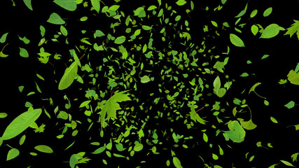 Green Flying leaves leaf 3D illustration background