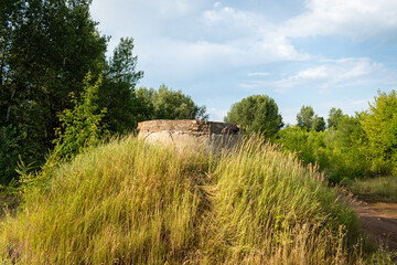 An abandoned well in the forest