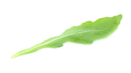 green fresh rucola leaves isolated on white background. Rocket salad or arugula