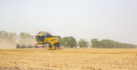 Obraz premium Grain harvesting in the fields - agricultural machinery at work in the field