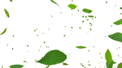 Fototapeta na wymiar Green Flying leaves leaf 3D illustration background