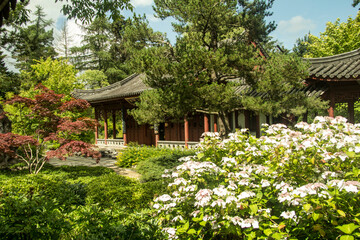 traditional chinese garden