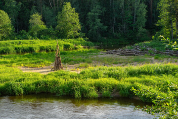 Obraz premium Woodpile of dry branches on the shore of the river before burning for a huge fire. Midsummer celebration. Forest landscape.