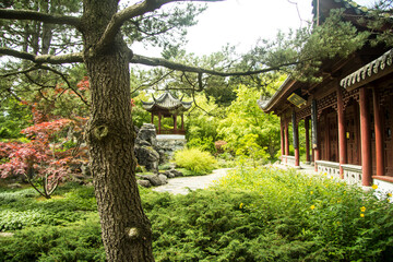 chinese pavilion in the garden