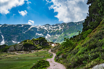 Fototapeta premium Swissalps