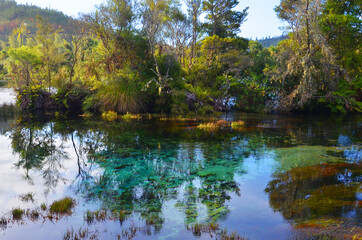 Fototapeta premium The Pupu Spring (Te Waikoropupu springs) in Golden Bay are home to the clearest springwater in the world.