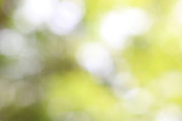 green bokeh background