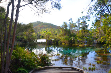 The Pupu Spring (Te Waikoropupu springs) in Golden Bay are home to the clearest springwater in the world.