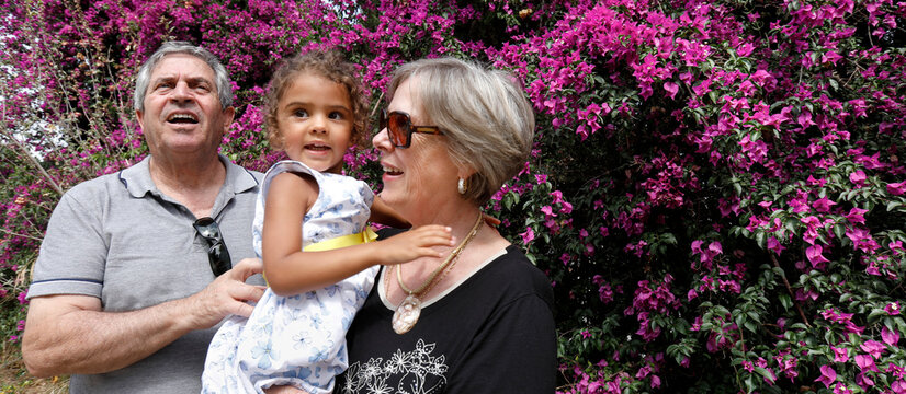 Nipotina Brasiliana &radic;&reg; felice in braccio ai nonni Europei sullo sfondo di una siepe colorata di fiori