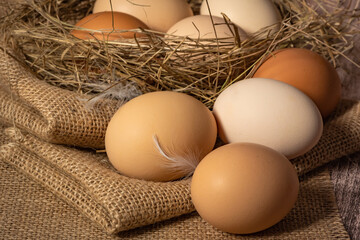 Close-up of beige light and dark chicken eggs, bird feathers in a nest of straw.