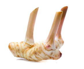 Fresh slices galangal rhizomes isolated on white background