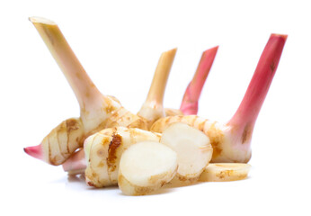Fresh slices galangal rhizomes isolated on white background