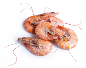 shrimp isolated on white background