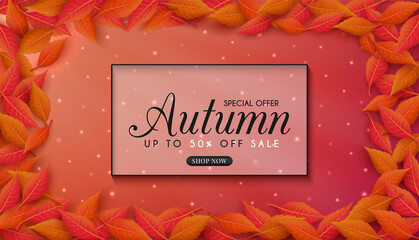 Autumn sales banner design with colorful seasonal fall leaves. and concept autumn advertising. for shopping discount promotion, frame leaflet or web banner. and used as illustration or background.