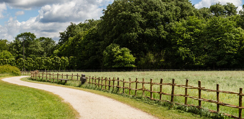 Wide panorama of rural Flemish landscape with winding gravel road next to a pasture with a wooden fence and a treeline in the background and some clouds