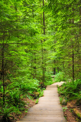 カナダの大自然リン・キャニオン・パーク　A very beautiful forest landscape in Canada