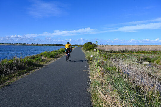 cycliste sur les chemins de l'Ile de R&eacute;