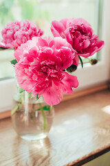 Beautiful bouquet of pink peony flowers in vase in sunlight on a wooden windowsill. Vertical image.