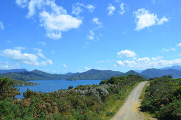 Fototapeta na wymiar A journey to Picton, New Zealand.