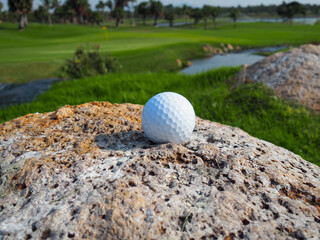 Golf ball on a stone on a golf course Large lawn background
