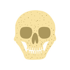 Human skull isolated on white background. Spooky Halloween decoration. Death concept. Flat style drawing. Design for poster, card, invitation. Stock vector illustration.