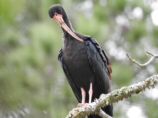 Fototapeta premium FOTOS