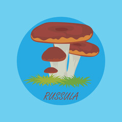 edible russula mushrooms banner. vector illustration