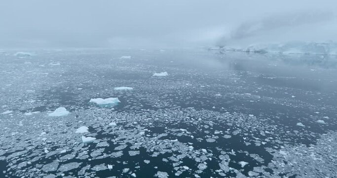 WS Early morning fog over Neko Harbor covered with brash ice / Antarctic Peninsula, Antarctica