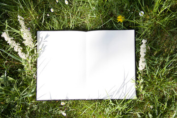 The open album lies on green grass in the park. White sheet on lawn, free space for your design,...