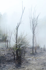 Rotorua, a town set on its namesake lake on New Zealand's North Island, is renowned for its geothermal activity and Maori culture. 