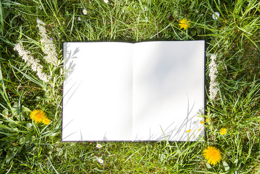 The open album lies on green grass in the park. White sheet on lawn, free space for your design, mock up
