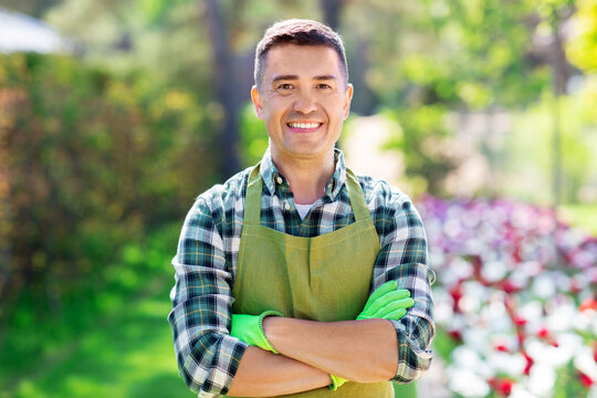 gardening and people concept - happy smiling middle-aged man in apron with crossed hands at summer garden