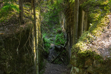 A corridor in an abandoned fort planted with trees