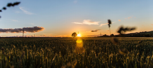 Sunset fields