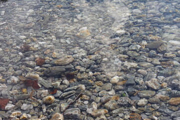 Crystal clear lake water in Queenstown.