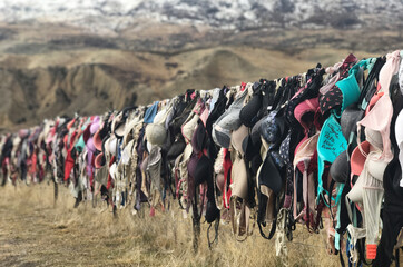 The Cardrona Bra Fence was a controversial tourist attraction in Central Otago with thousands of...