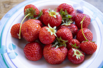 fresh organic strawberries