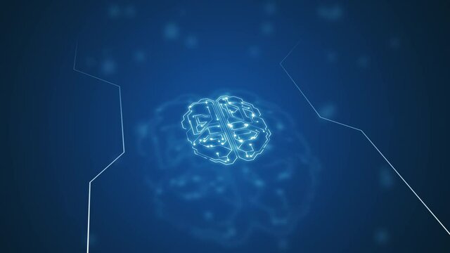 4k animation graphic design of brain and brain stem in alpha background.