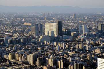 Fototapeta premium 東京の街並み