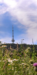 transmission mast on a hill