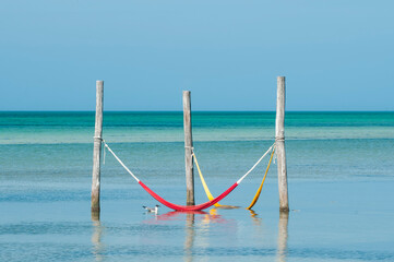 Hammocks hanging over the Mexican Caribbean Sea on Holbox Island - a seagull floats nearby. In the...