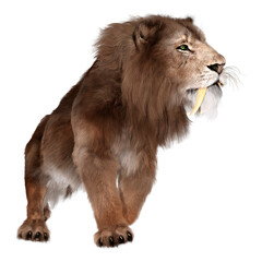 3D Rendering Sabertooth Tiger on White