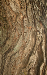 Abstraction from a tree