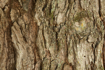 Abstraction from a tree